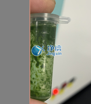 冷凍研磨儀在對(duì)甘蔗葉片提取DNA實(shí)驗(yàn)中研磨樣本效果如何？